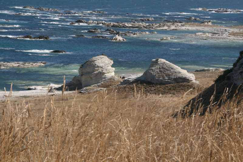 Nieuw-Zeeland 2011 - 1138